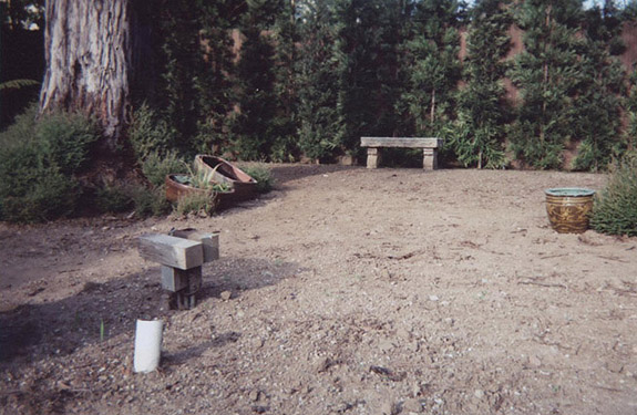 Before image of a forest garden in Los Angeles with bare dirt, redwood tree, and a 