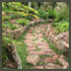 A natural stone path curves through a CA forest garden with Japanese maples, 