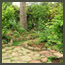 A natural stone landing and path in a CA forest garden with Japanese maples and 