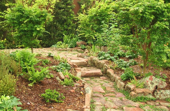 A natural stone path steps through a CA forest garden with Japanese maples and CA 
